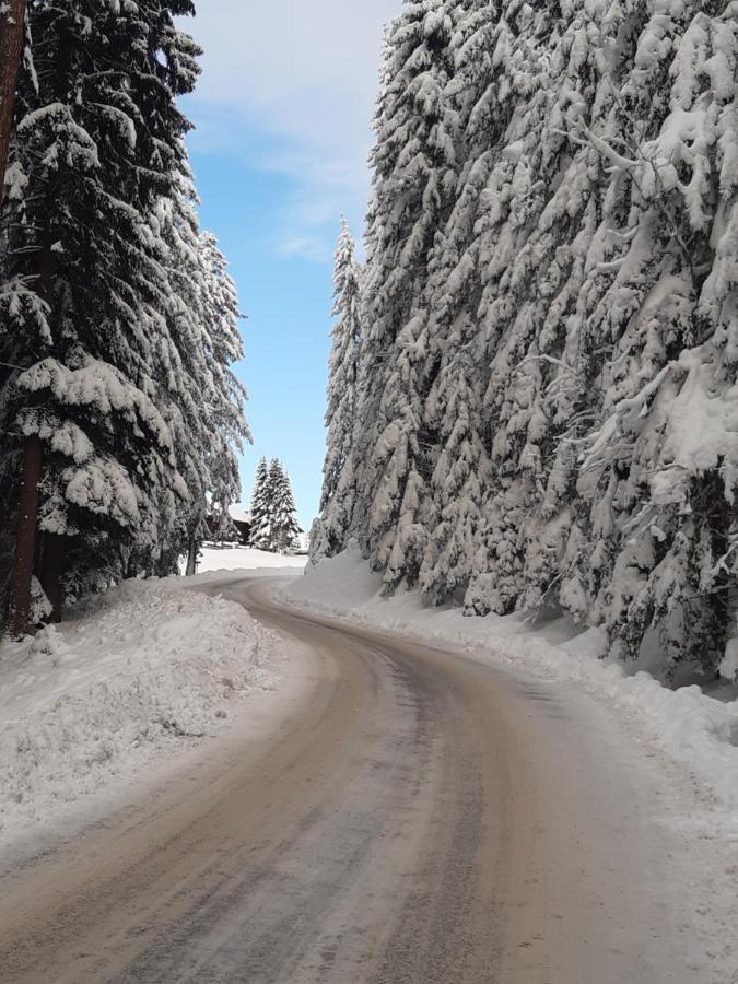 Haus Silvia Hotel Flachau Bagian luar foto