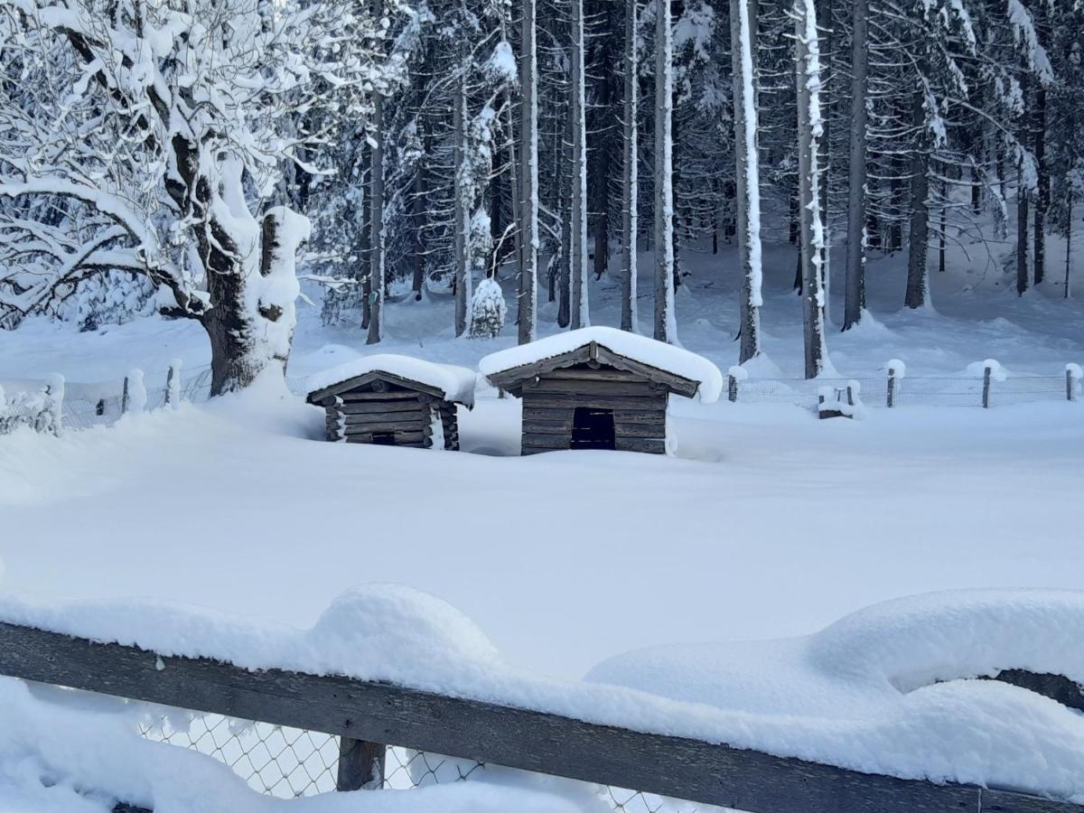 Haus Silvia Hotel Flachau Bagian luar foto